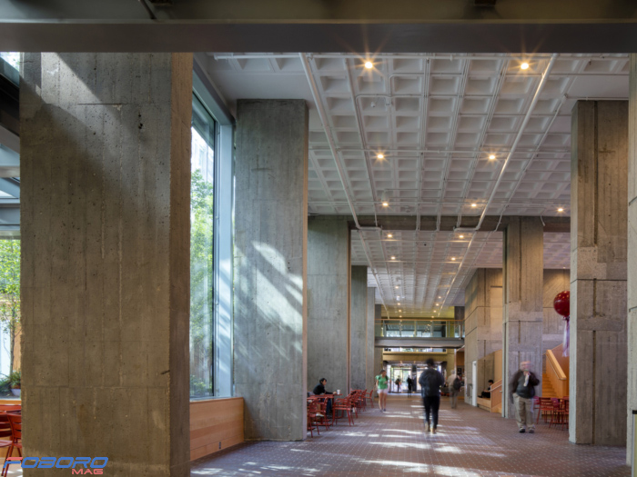 دانشگاه معماری هاروارد طراحی داخلی دکوراسیون